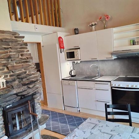 Holiday Home Riekonraito A1 By Interhome サーリセルカ エクステリア 写真